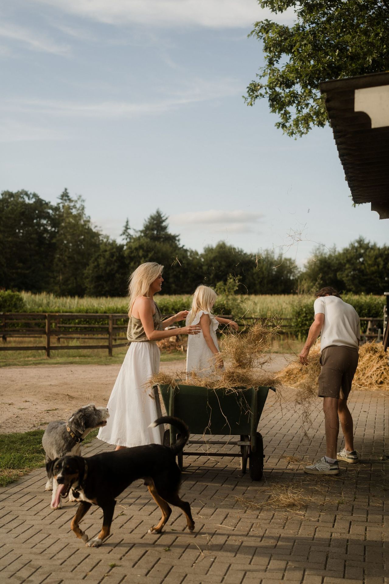 Levendige sfeer op het erf, met hooi, honden en gasten