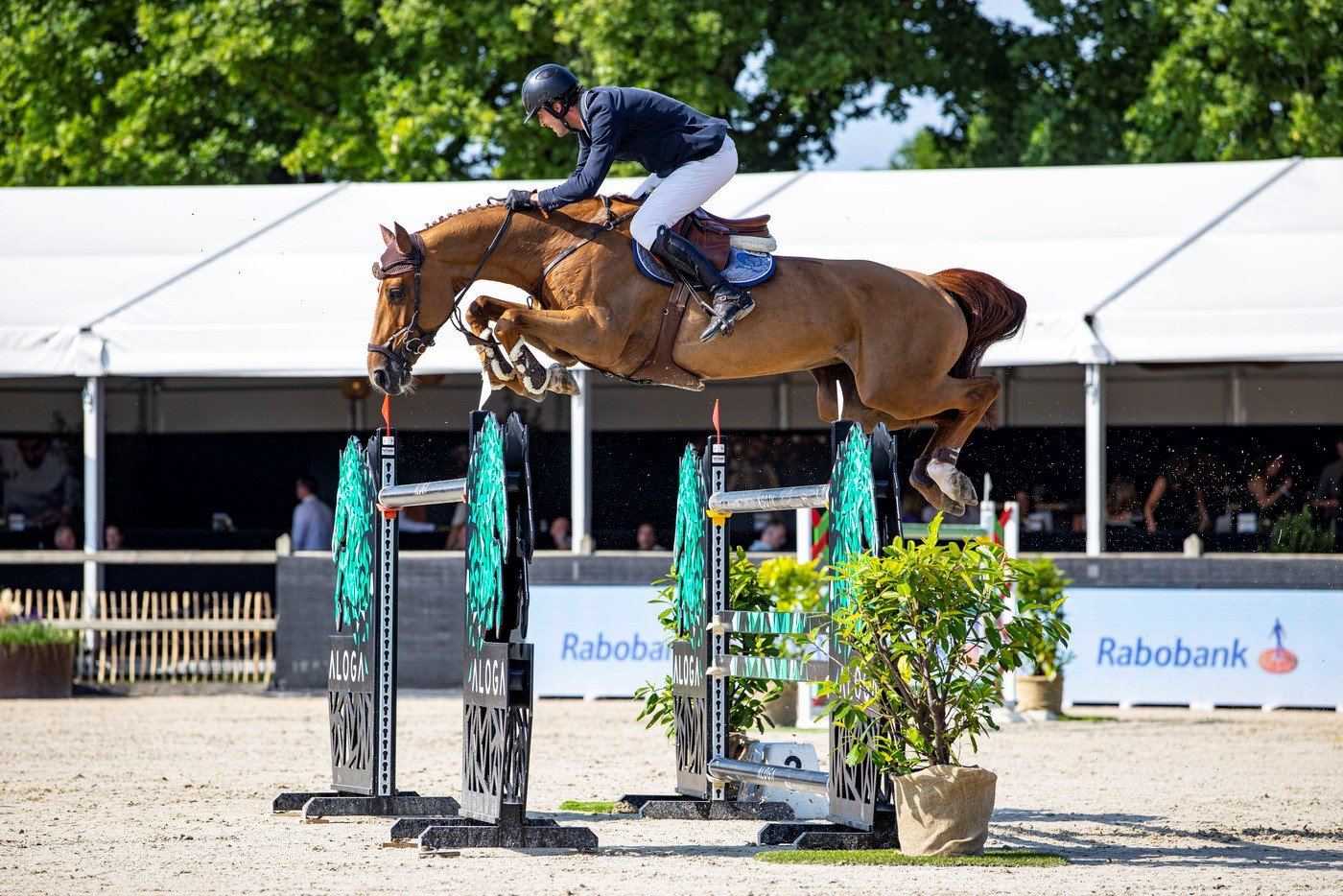 Jurre van Bommel jumping a fence during a competition