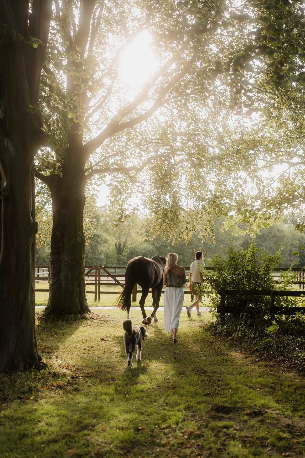 Couple with horse and dog, backlit through the trees