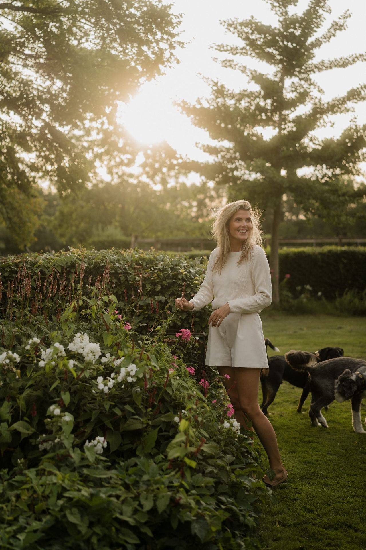 Woman among the flowers in the garden, golden evening light