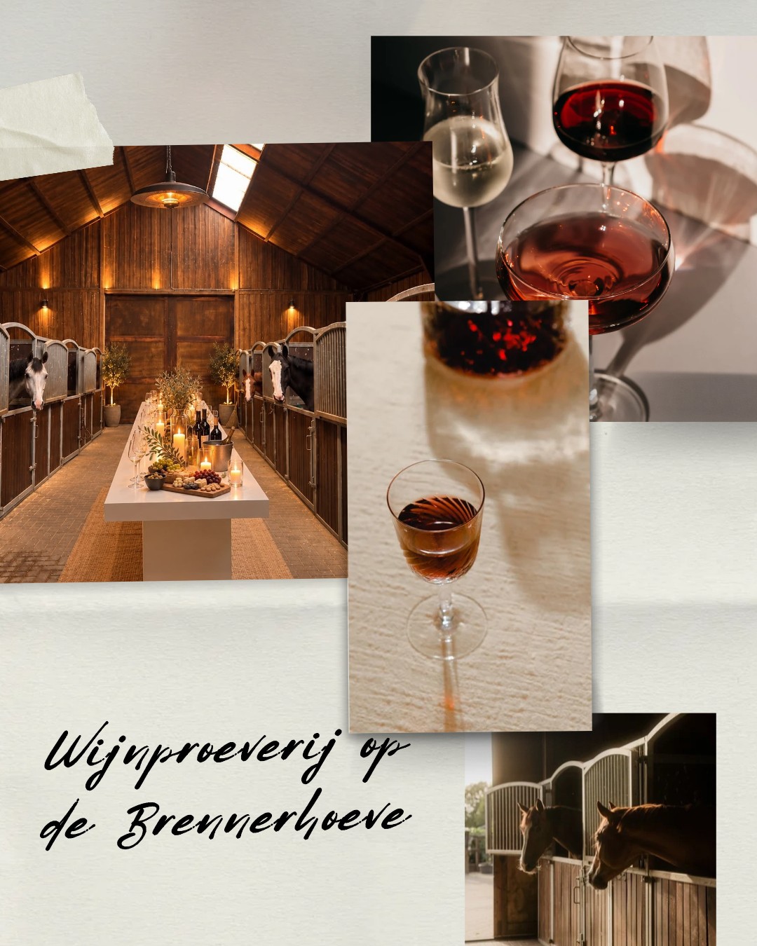 Wijnproeverij op de Brennerhoeve in Ruurlo op 3 december 2026, met Vino Alfredo